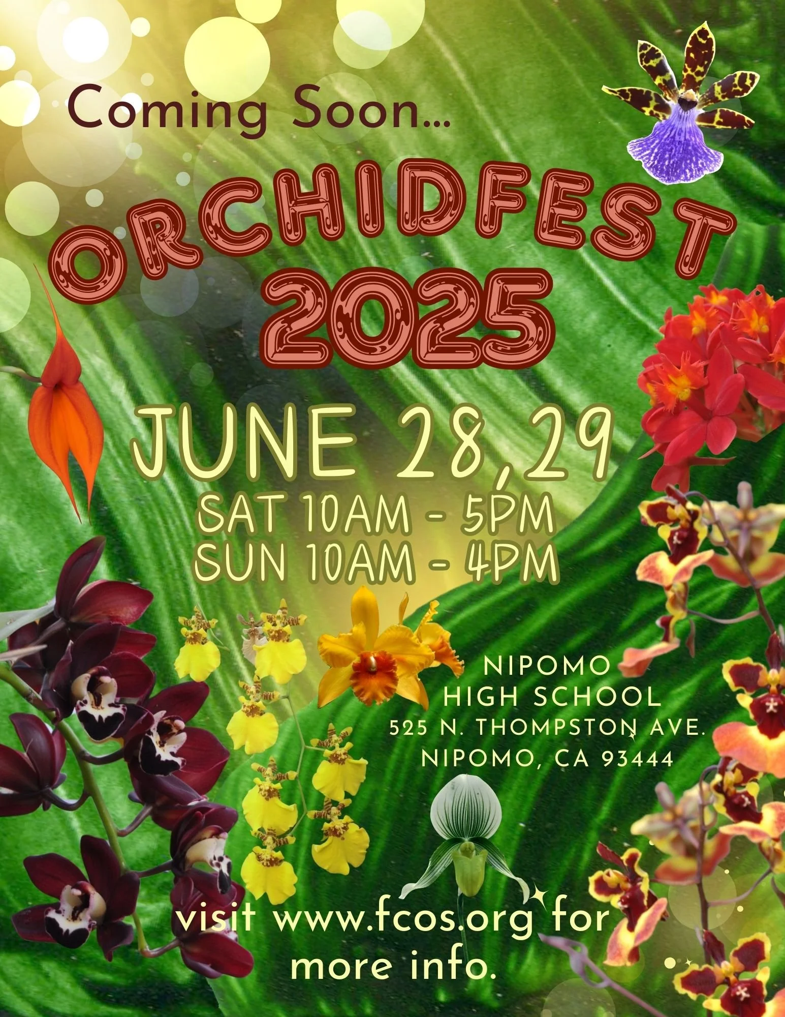Orchid Fest 2025 — FCOS.Org